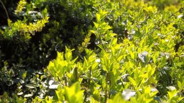 183082273 10215214230147759 3638535596795327074 N