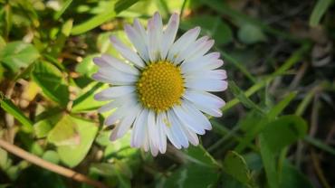 183137775 10215214228907728 5303988619322862722 N