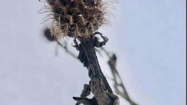 182542506 10215214971686297 3620076289388397174 N