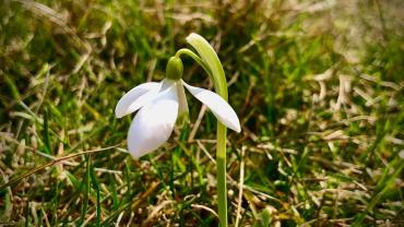 182731279 10215214972686322 167747146334282796 N