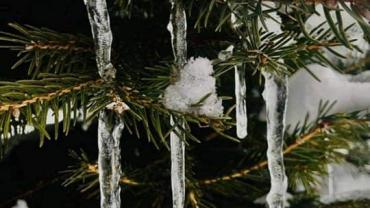 182838836 10215214971926303 3074628013485380990 N