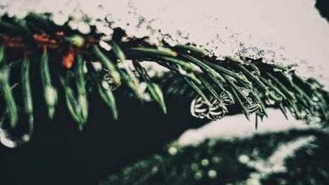 182923903 10215214972126308 2149367515230320909 N