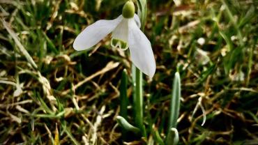 183228501 10215214973206335 4205510268130275641 N