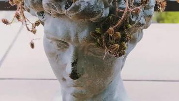 185416264 10215255582941553 692124996649043688 N