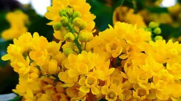 185641735 10215255583221560 8395538954887583673 N