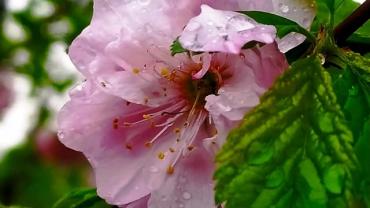 186090344 10215255583981579 2109324476239437811 N