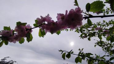 186281274 10215255584341588 8375794012193625818 N