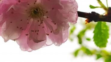 186629920 10215255583501567 4717393321991607015 N