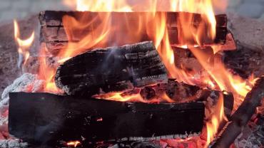 188149282 4231619420209498 8076699522308892336 N