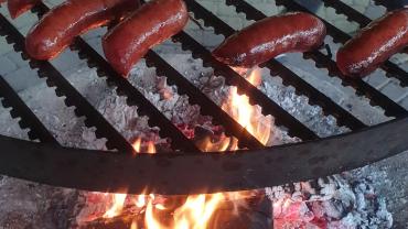 188576432 4231626803542093 736940956797021996 N