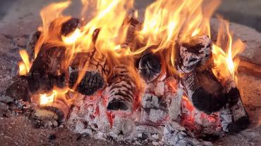 188757595 4231620243542749 1071142745012364418 N