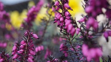 188096421 4234278013276972 8442188177673936106 N