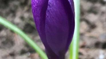 189321463 4234277389943701 9222823931040459805 N