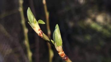 190193483 4234278196610287 6869696295810152218 N