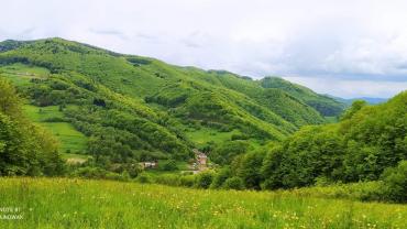 190872886 4265075813530525 7632127354722189956 N