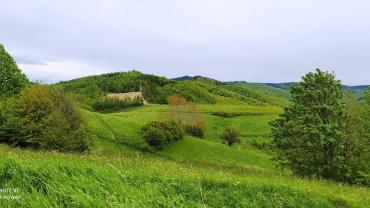 192102939 4265078733530233 8910199103871545908 N