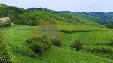 192155881 4265079226863517 5692875213344651044 N