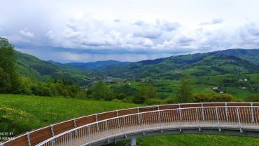 192294762 4265076126863827 8026772580091033548 N