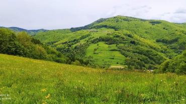 192728467 4265077023530404 5832833946874368542 N