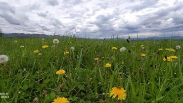 193137827 4265075393530567 6470705154408445856 N