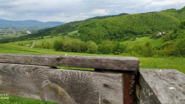 193404915 4265079663530140 695654757297331519 N