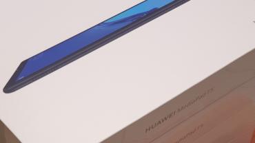 197306003 4292115604159879 3803440512901130033 N