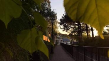 199162597 338677474562729 4488211334727603260 N