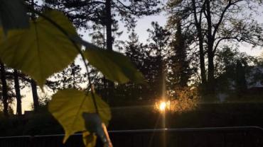 199987491 505516227234219 7700071071395487285 N