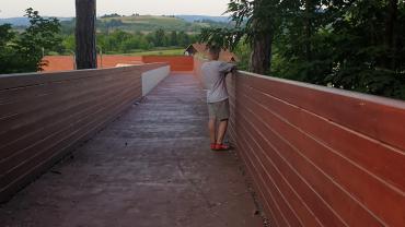 205003271 4337051229666316 647155298908589295 N