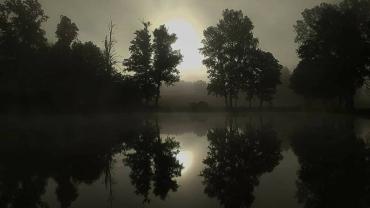 207176910 4351232241581548 335811337735120801 N