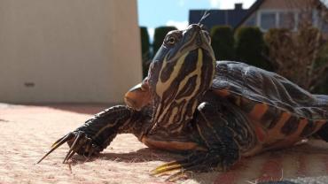 206205307 4353505081354264 2181039342673710677 N