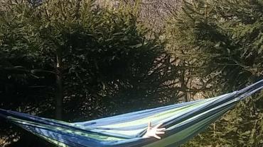 206284188 4353505734687532 2727241568309494098 N