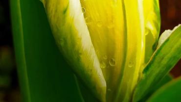 W Obiektywie Rodzica Danuta Nowak