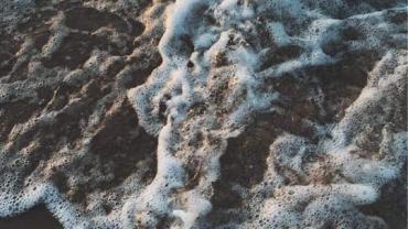 241633072 10215812939515119 4546534995977048159 N