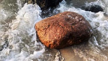 241645693 10215812940195136 5806763323073325537 N