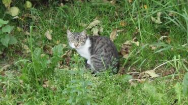 242101705 4586491281388975 7222204578926223926 N