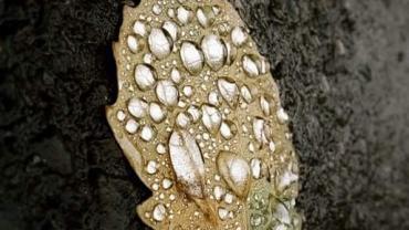 242073860 10215833946040269 794791284762671921 N