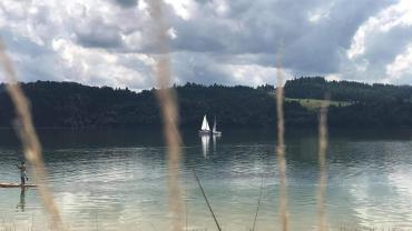 242108445 10215834907544306 2676666677887703029 N