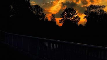 243313651 10215887238692552 5139027407540299646 N