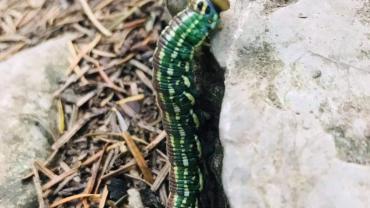 244068245 4642513615786741 4901653669717830475 N