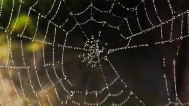 244467607 4646372428734193 5158407678031059005 N