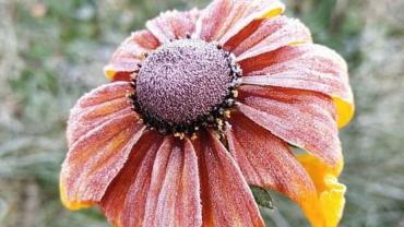 244973830 4660414020663367 5172339165984354799 N