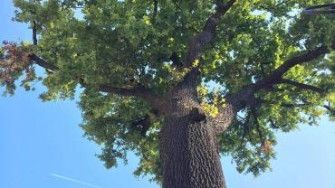 245059123 4663605493677553 1241939115120166000 N