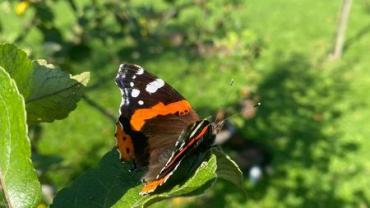 246155039 4689780144393421 1606944060150358031 N