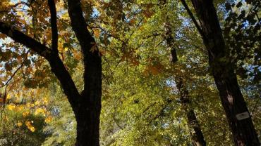 248357802 4707108112660624 195446130472525672 N