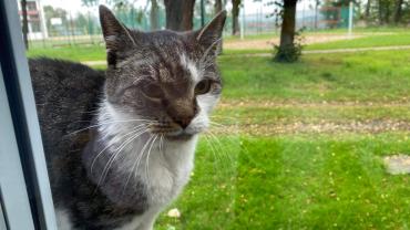 248645790 4710996565605112 598157878517789363 N