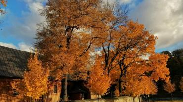 249163557 4720439781327457 4306920722338748547 N