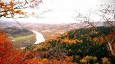 249581889 4717012795003489 5744476691202327039 N