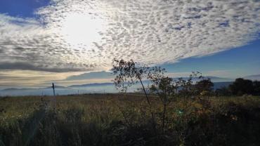 250906776 10216017214821874 743488873441177022 N