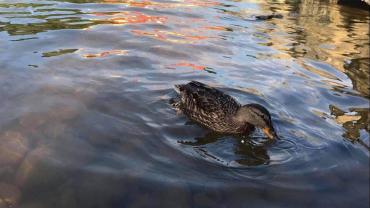 251990519 10216020212776821 1351775348591826051 N